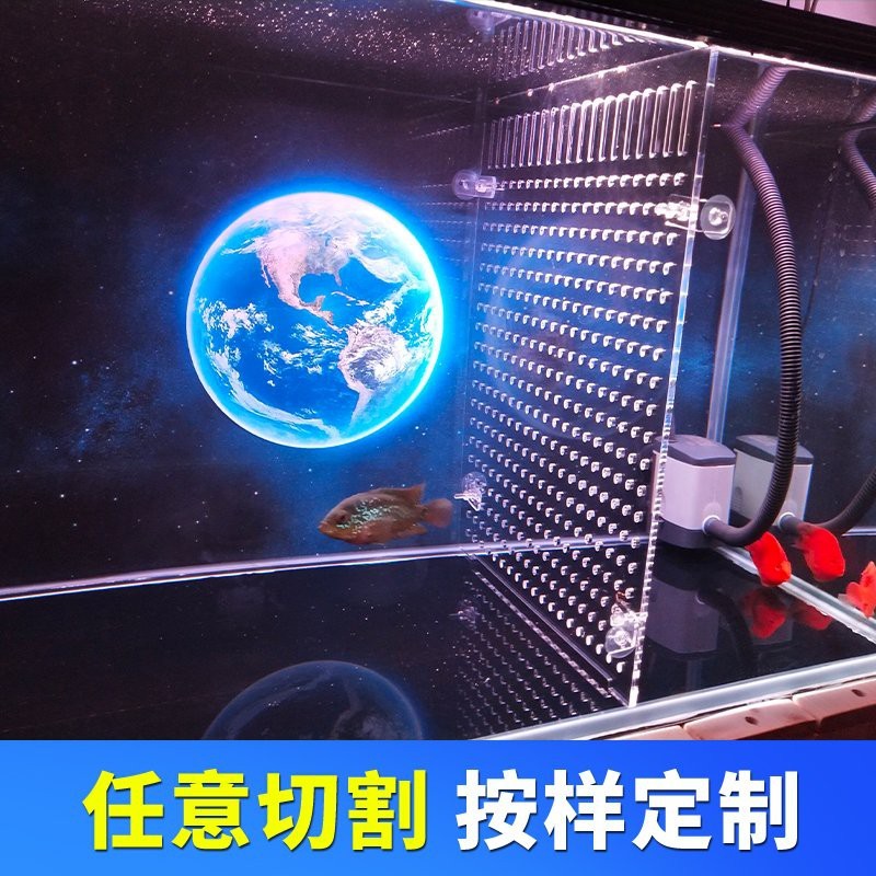 推薦幾款適合龍魚混養(yǎng)的隔離板【適合龍魚混養(yǎng)的隔離板推薦及特點分析：魚缸隔離板紳士伴日醒】