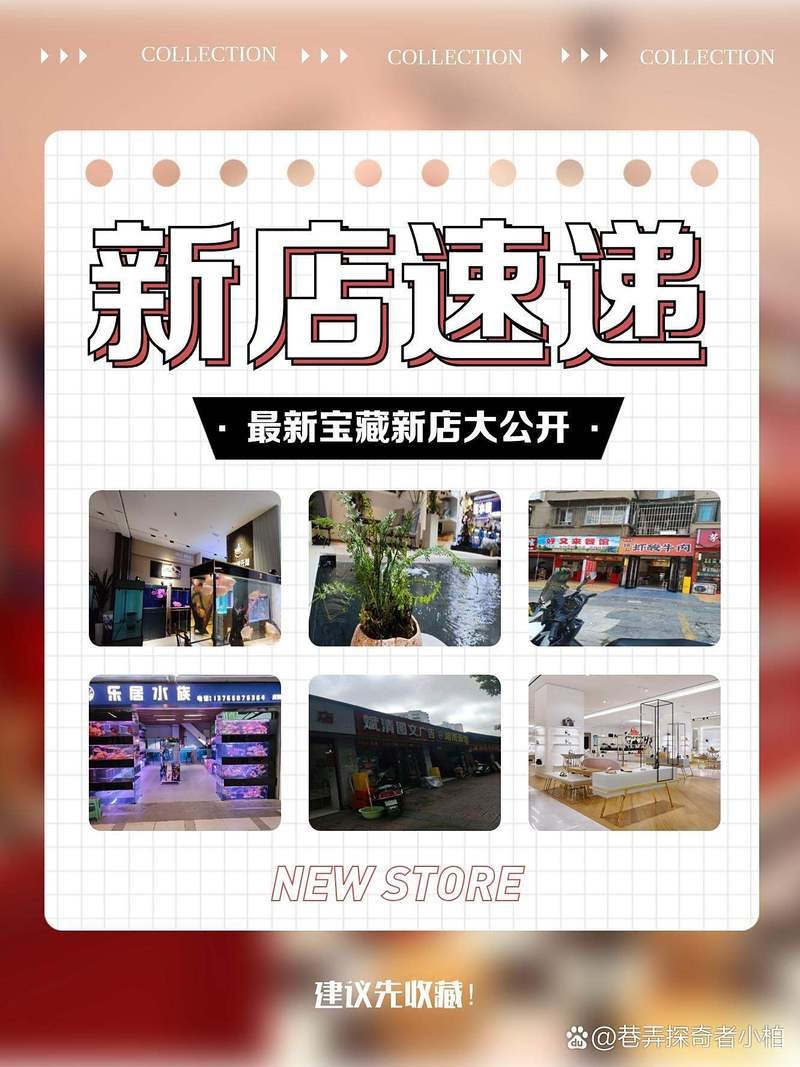 陽明水族店【貴陽陽明水族店主要涉及兩家不同地區的實體店鋪】 陽明水族店【貴陽陽明水族店主要涉及兩家不同地區的實體店鋪】 全國水族館企業名錄 第2張