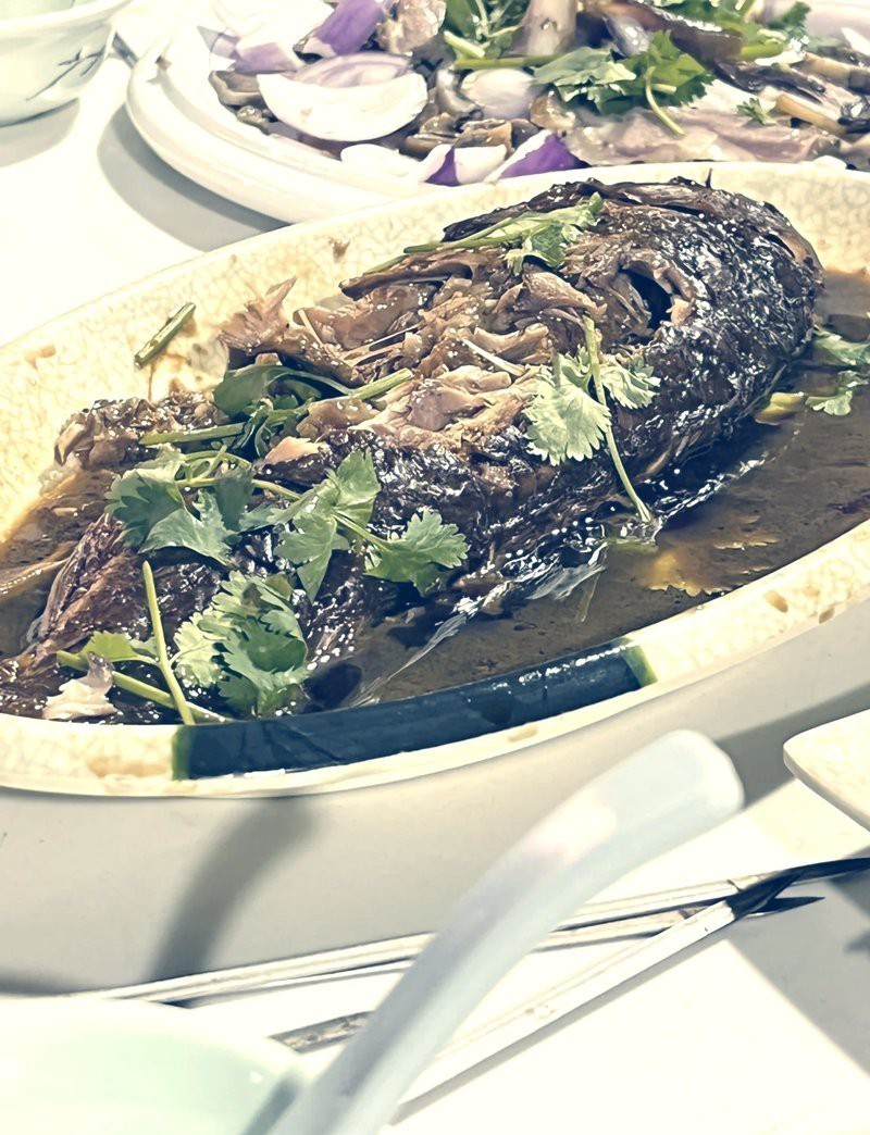 界首龍魚店【界首市龍魚水產養殖有限公司】
