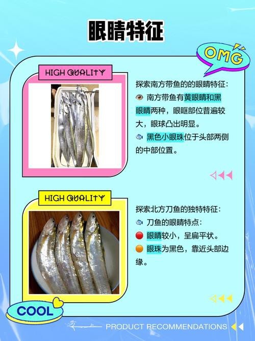 刀魚和帶魚圖片對比【刀魚與帶魚是兩種常被混淆的魚類，從多維度進行詳細對比】