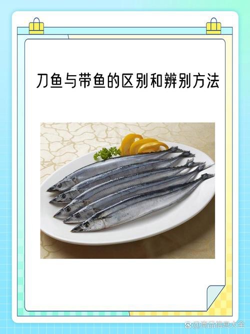 刀魚和帶魚圖片對比【刀魚與帶魚是兩種常被混淆的魚類，從多維度進行詳細對比】