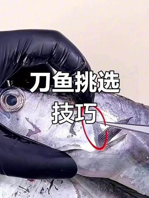 刀魚和帶魚圖片對比【刀魚與帶魚是兩種常被混淆的魚類，從多維度進行詳細對比】