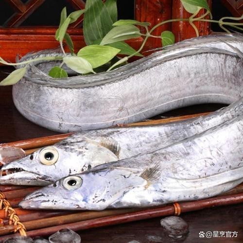 刀魚和帶魚圖片對比【刀魚與帶魚是兩種常被混淆的魚類，從多維度進行詳細對比】