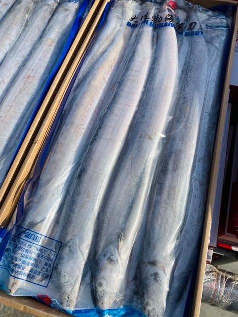 刀魚和帶魚圖片對比【刀魚與帶魚是兩種常被混淆的魚類，從多維度進行詳細對比】
