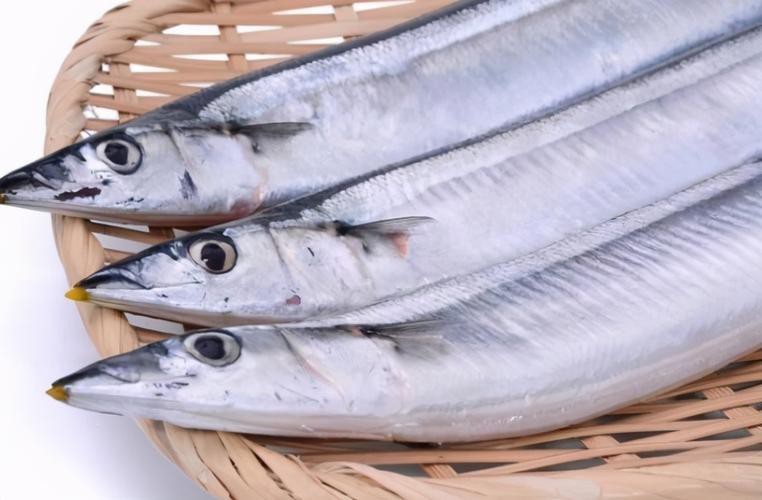 刀魚和帶魚圖片對比【刀魚與帶魚是兩種常被混淆的魚類，從多維度進行詳細對比】