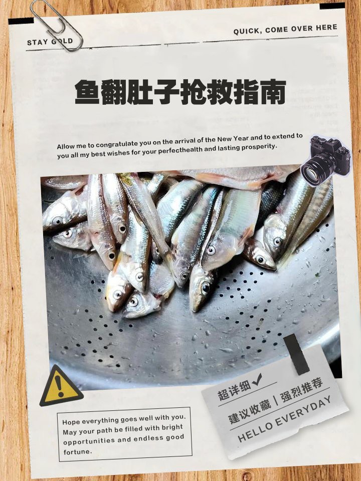 龍魚翻肚后需要換幾次水？【智能模式回答完成調用工具：龍魚翻肚后的換水需根據具體原因和恢復階段調整】