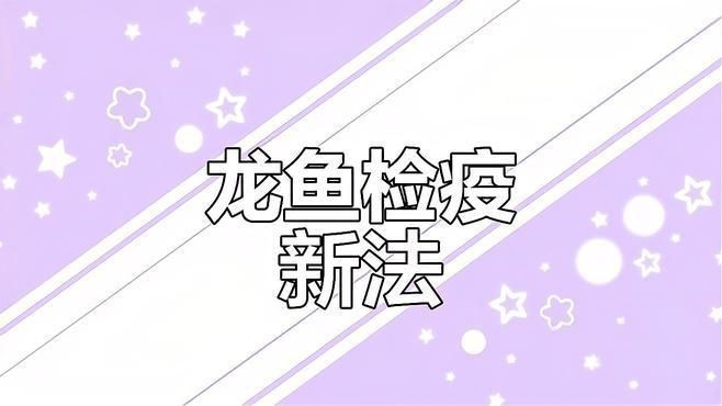龍魚腹部腫脹如何早期發現？【龍魚常見病癥—腹水病】