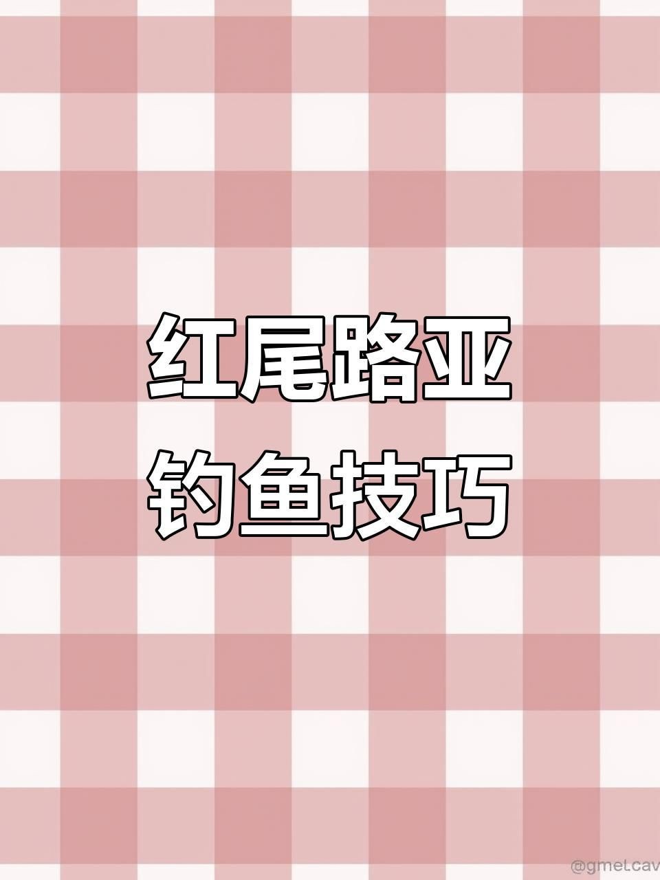 紅尾與翹嘴區(qū)別【紅尾與翹嘴在外形上存在差異可通過以下特征進行區(qū)分】