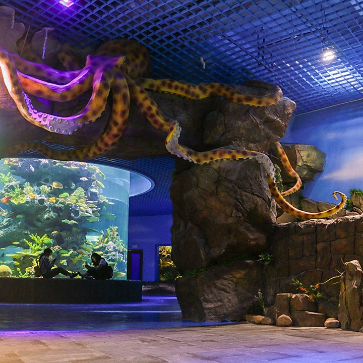 貴陽水族店【貴陽水族場所詳細介紹貴陽水族相關場所詳細介紹】
