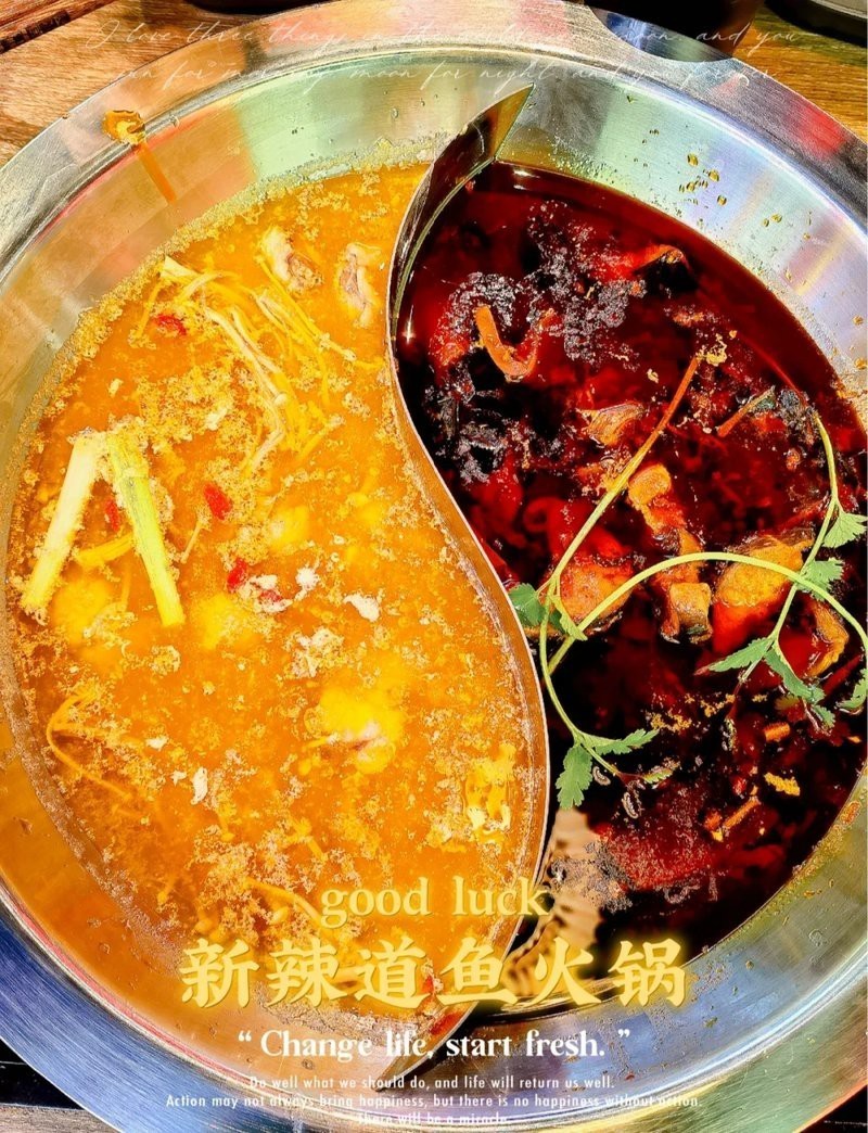 泊頭龍魚店【泊頭哪里可以買到龍魚】