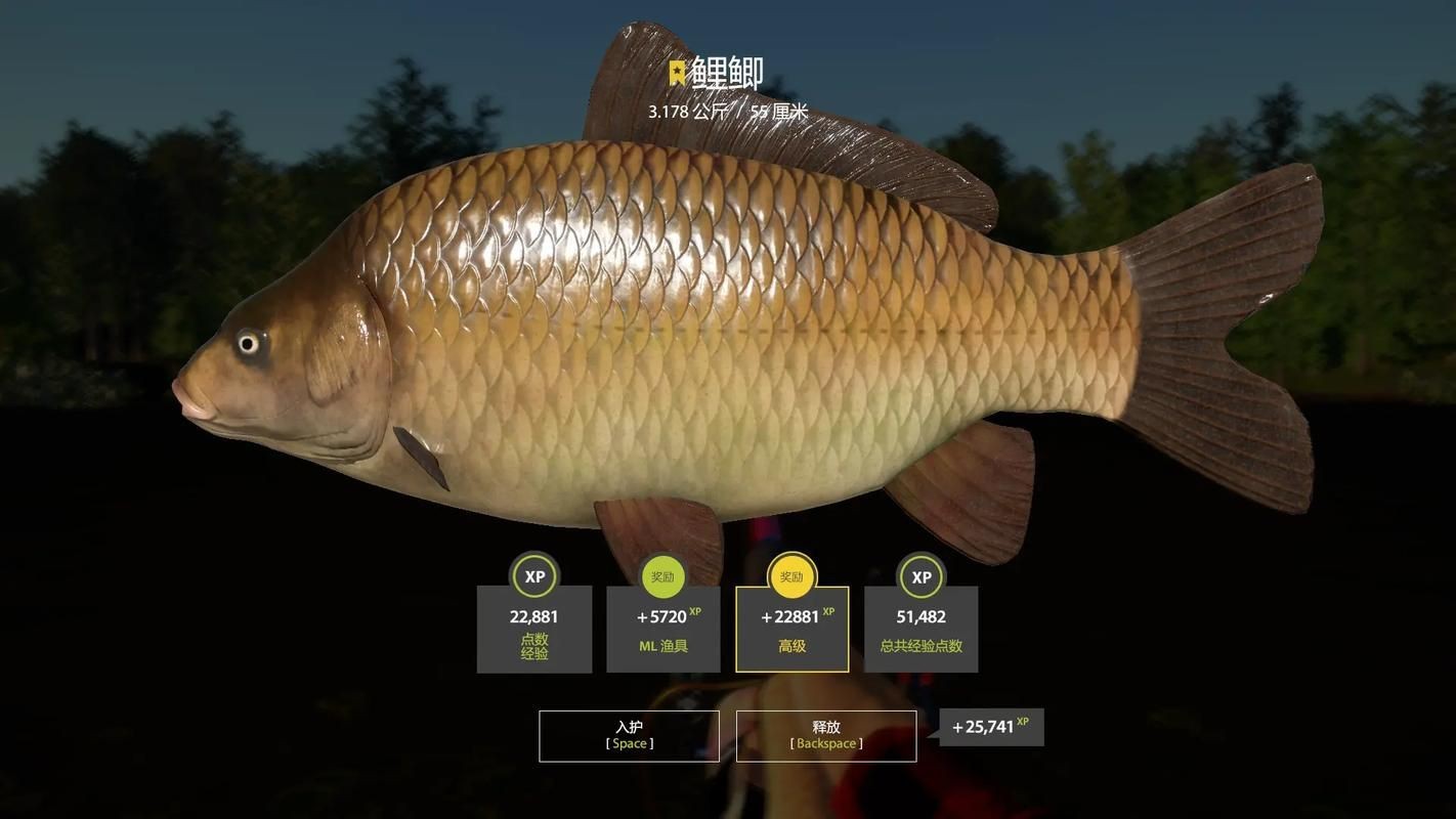 鯉鯽魚圖片【貴州男子釣上13斤鯽魚網友：這種鯉鯽狗都嫌】
