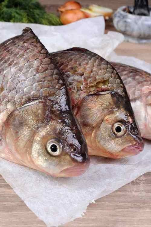 鯉鯽魚圖片【貴州男子釣上13斤鯽魚網友：這種鯉鯽狗都嫌】