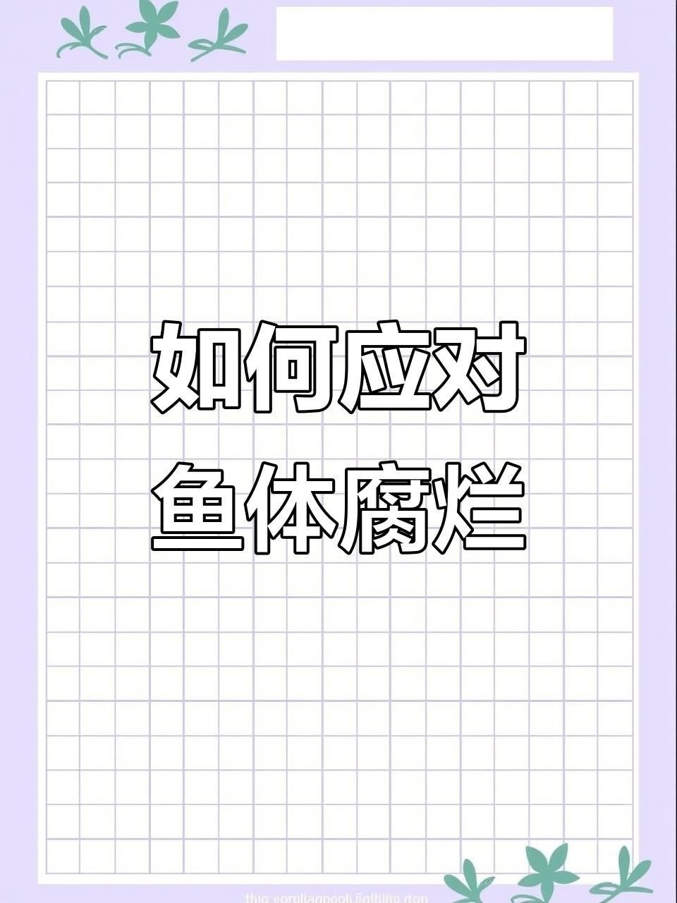 如何判斷魚是哪種類型的爛身？【智能模式回答完成調(diào)用工具：百度健康魚爛身的類型判斷】