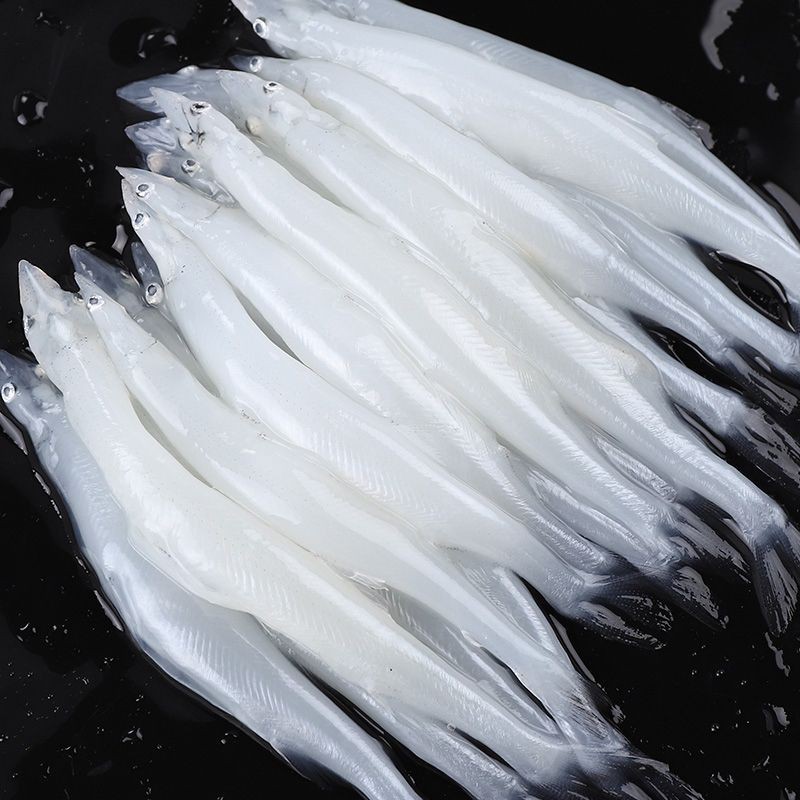 河里一種很小透明的魚【關(guān)于河流中常見透明小魚的詳細(xì)介紹】