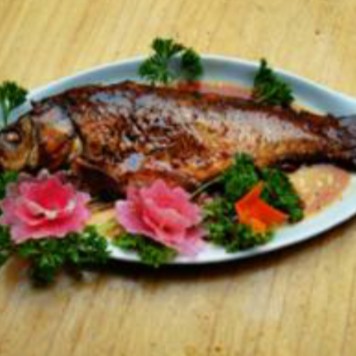 濮陽龍魚店【濮陽哪家龍魚店最有名】