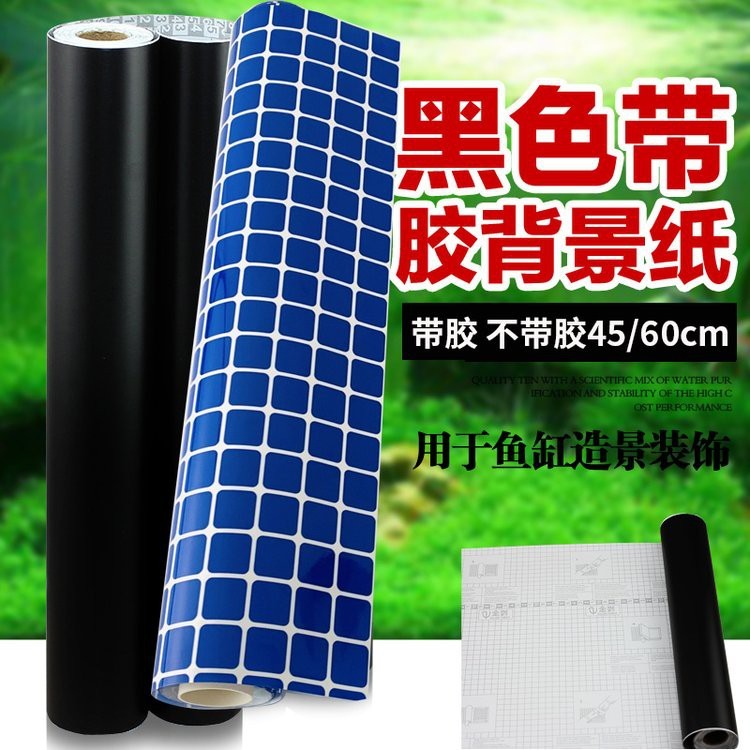 十大公認最好用的魚缸【2025年十大公認最好用的魚缸品牌】 十大公認最好用的魚缸【2025年十大公認最好用的魚缸品牌】 龍魚論壇 第4張