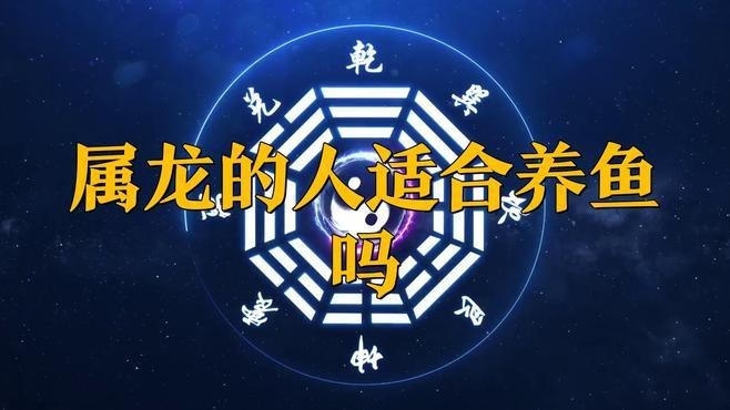 龍人一般養幾條魚最好【屬龍人養魚的數量選擇需綜合五行屬性、風水理論及個人命理】