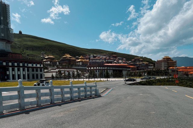 馬爾康龍魚店【天津馬爾康龍魚店地址在哪里馬爾康有哪些知名的龍魚店】