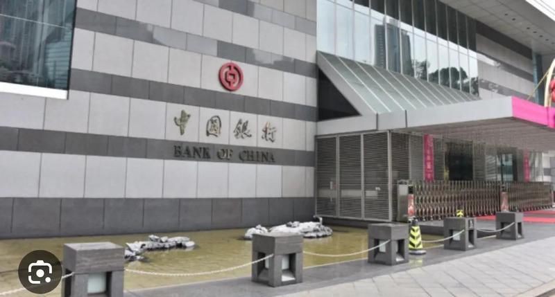 錦鯉論壇首頁官網【2019中國錦鯉俱樂部（中錦論壇）】
