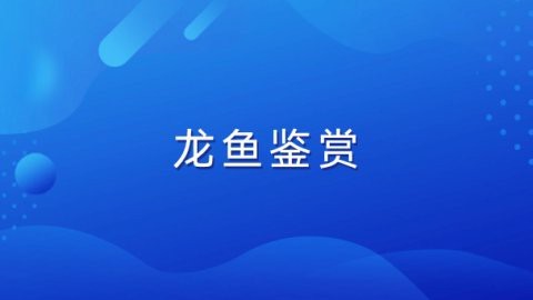 眉山龍魚店【眉山地區(qū)的龍魚餐飲業(yè)態(tài)以火鍋和全魚宴為特色】
