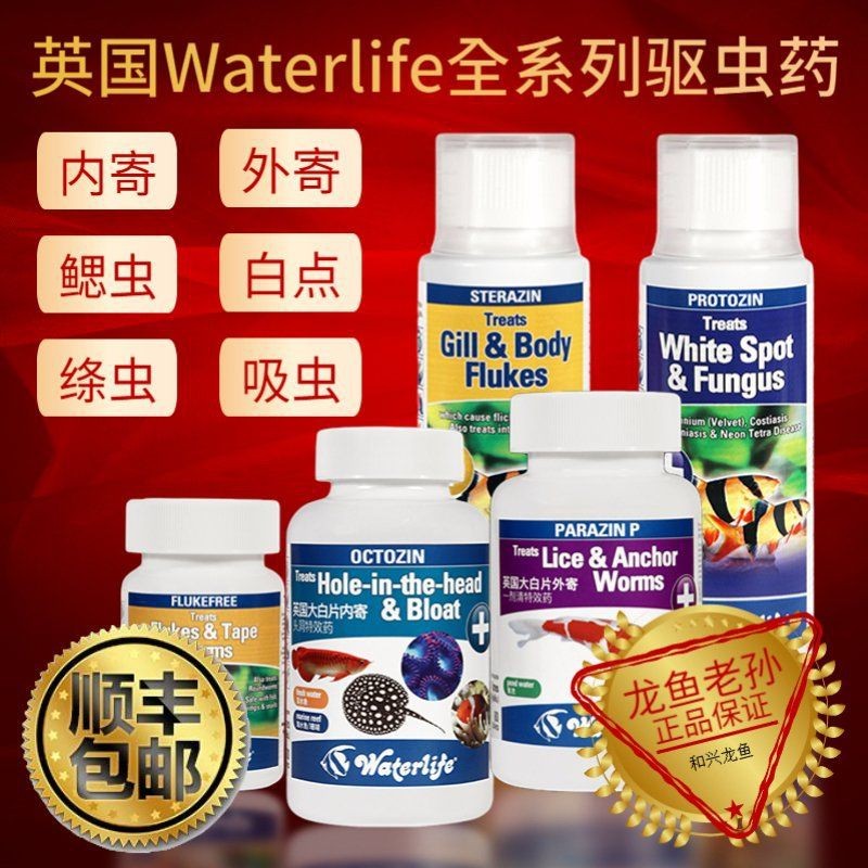 哪些食物對龍魚外寄有防治作用？【channableheri布氏鱧養護指南】 哪些食物對龍魚外寄有防治作用？【channableheri布氏鱧養護指南】 龍魚百科 第5張