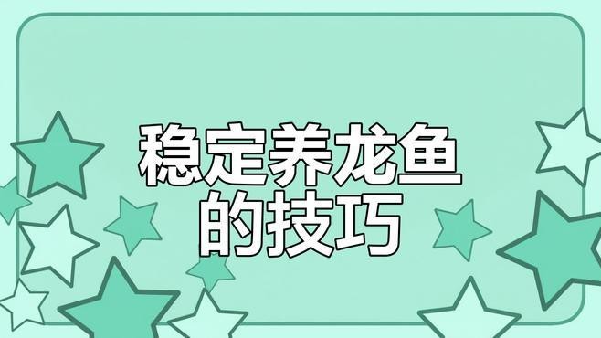 6700K燈光下紅龍魚的最佳飼養環境【6700k燈光下飼養紅龍魚需綜合考慮以下環境因素】