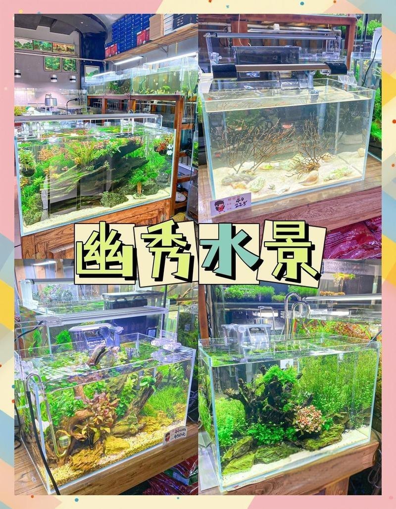 交口水族店