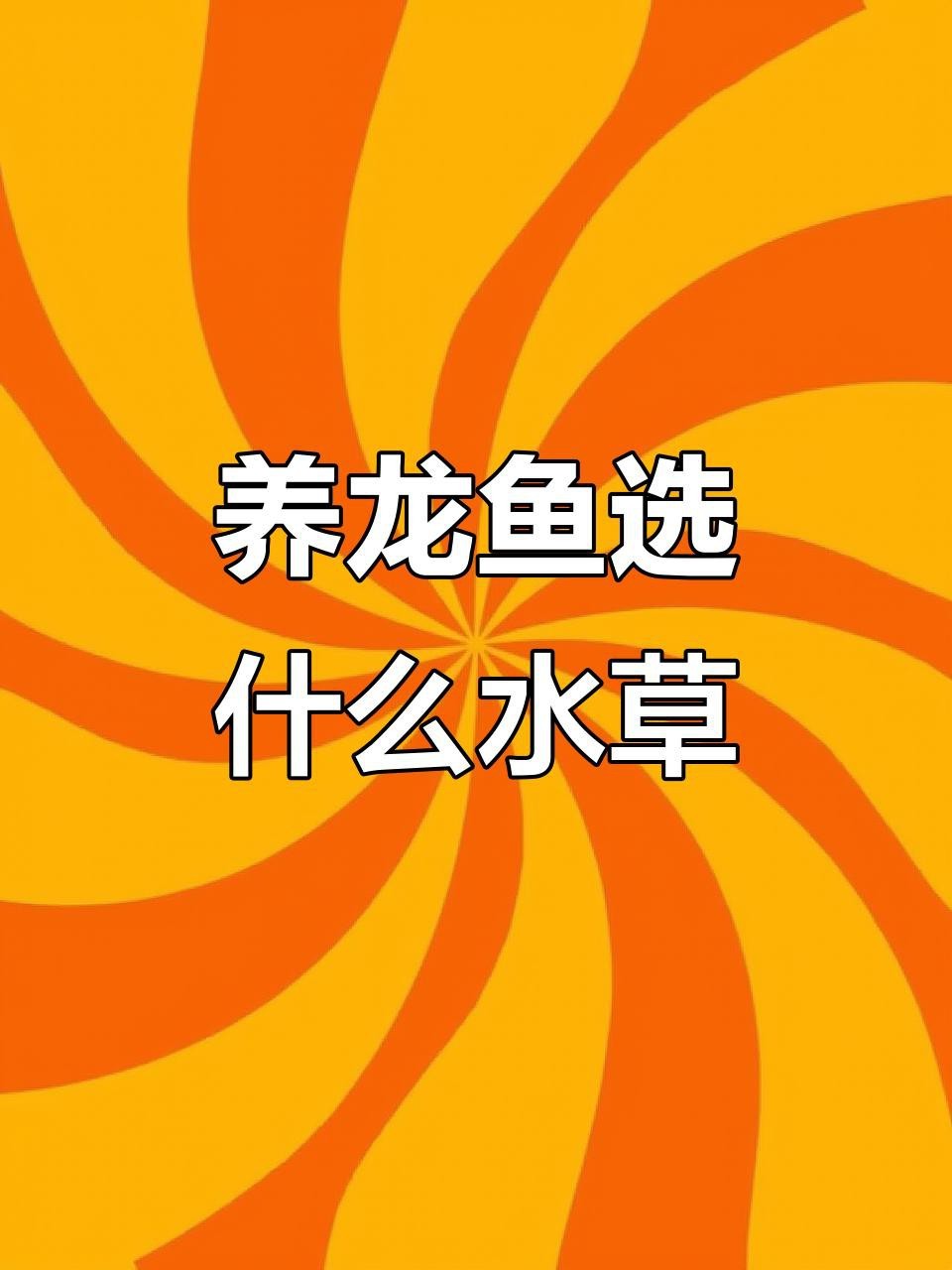 龍魚缸中應該放哪些植物？【魚缸造景水草怎么選】