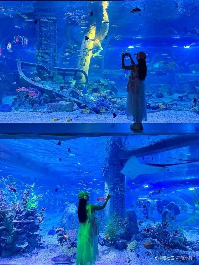 龍華水族店【深圳龍華區水族店有哪些特色魚介紹一下恒遠海立方環游城】 全國水族館企業名錄 第1張 龍華水族店【深圳龍華區水族店有哪些特色魚介紹一下恒遠海立方環游城】 龍華水族店【深圳龍華區水族店有哪些特色魚介紹一下恒遠海立方環游城】 全國水族館企業名錄 第1張