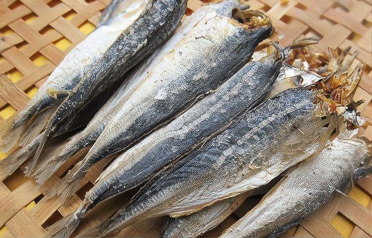 跟秋刀魚很像的魚胖胖的【與秋刀魚外形相似但體型更胖的魚類及其特點解析】
