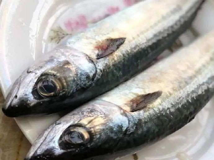 跟秋刀魚很像的魚胖胖的【與秋刀魚外形相似但體型更胖的魚類及其特點解析】