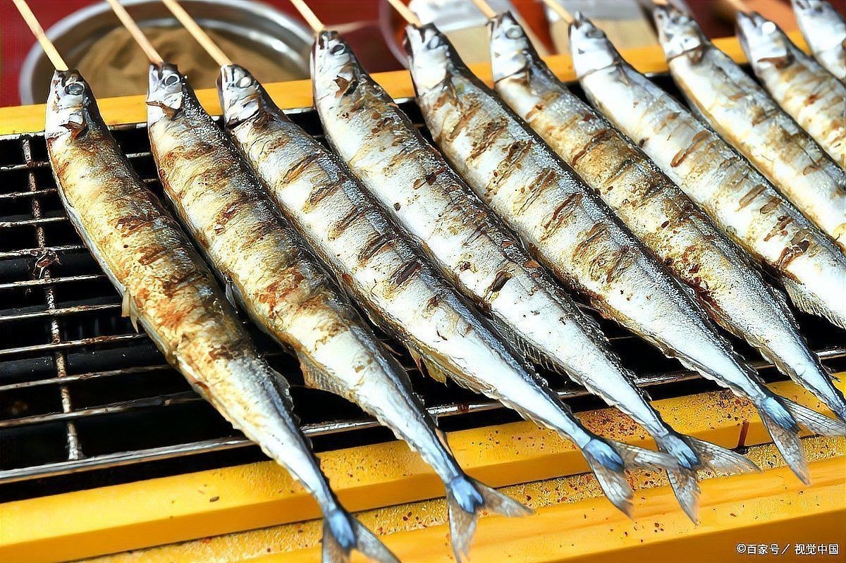 跟秋刀魚很像的魚胖胖的【與秋刀魚外形相似但體型更胖的魚類及其特點解析】
