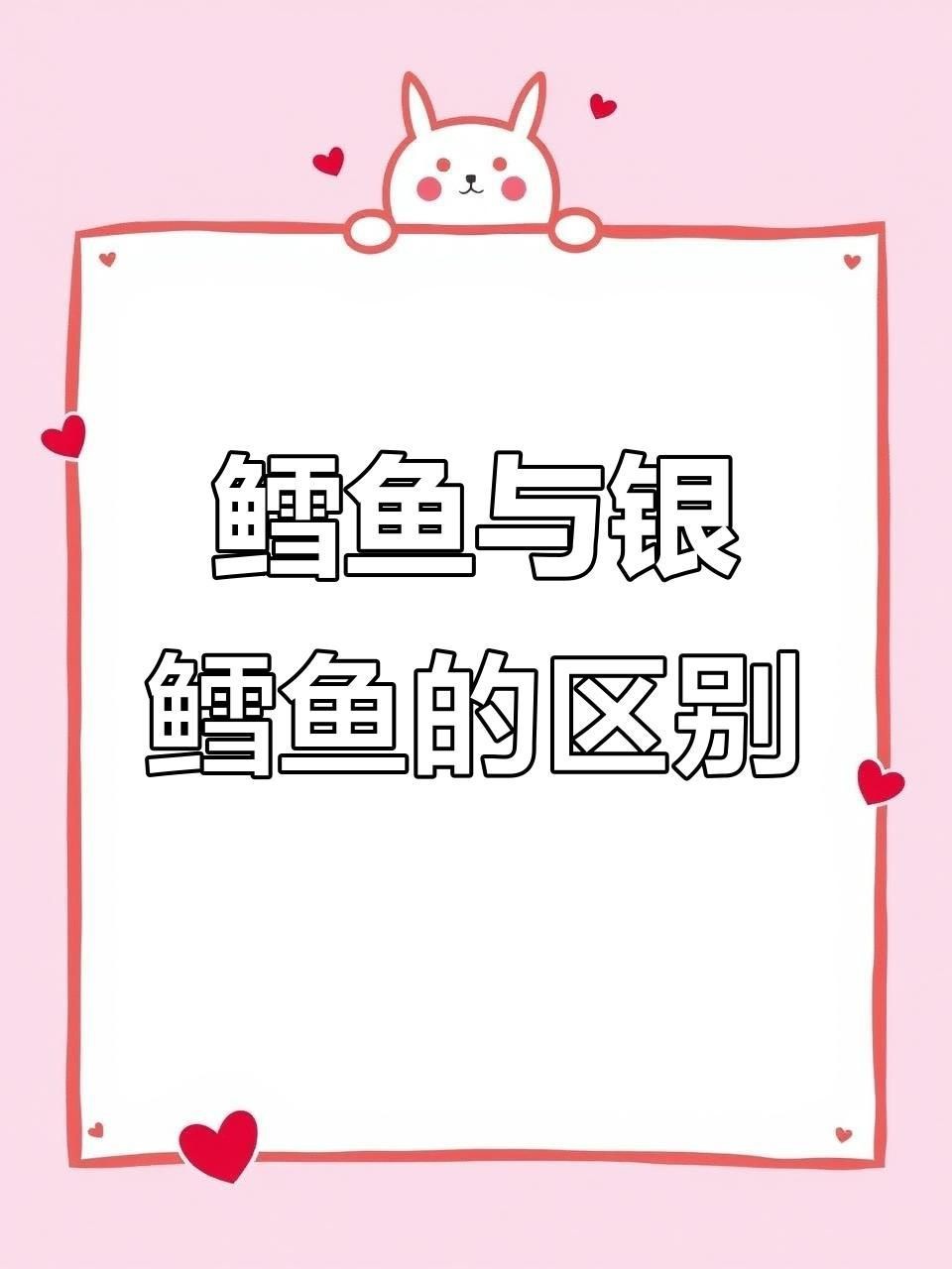龍鱈魚和銀鱈魚的區別【鱈魚和銀鱈魚的區別】