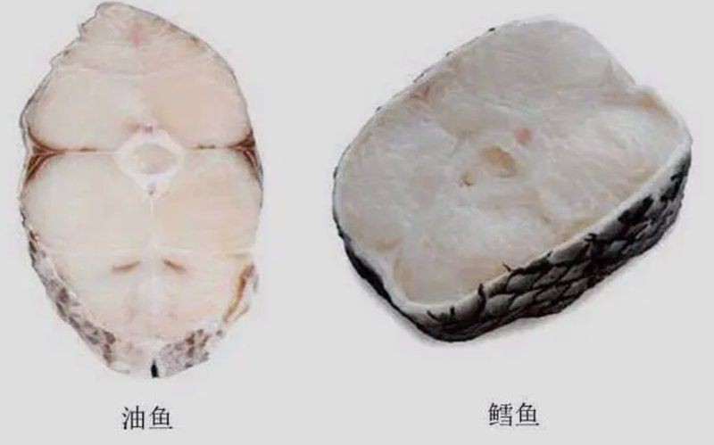龍鱈魚和銀鱈魚的區別【鱈魚和銀鱈魚的區別】