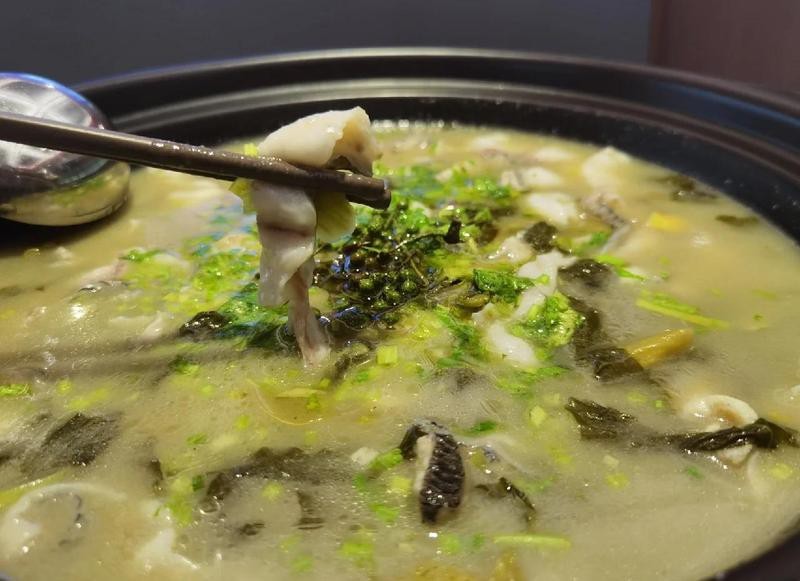 進賢龍魚店【南信水族龍魚貿易煙火可親|進賢美食推薦】