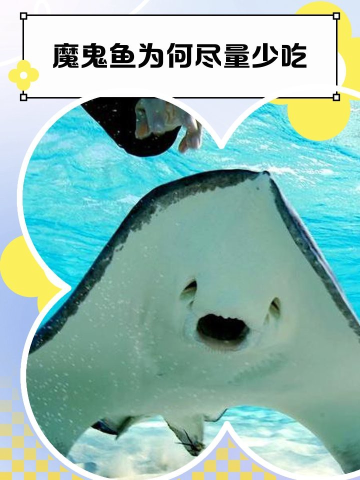蝠鲼魚可以吃嗎【蝠鲼魚與普通鰩魚】