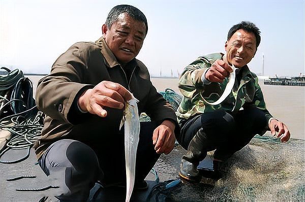 刀魚為什么那么貴【刀魚為什么這么貴】