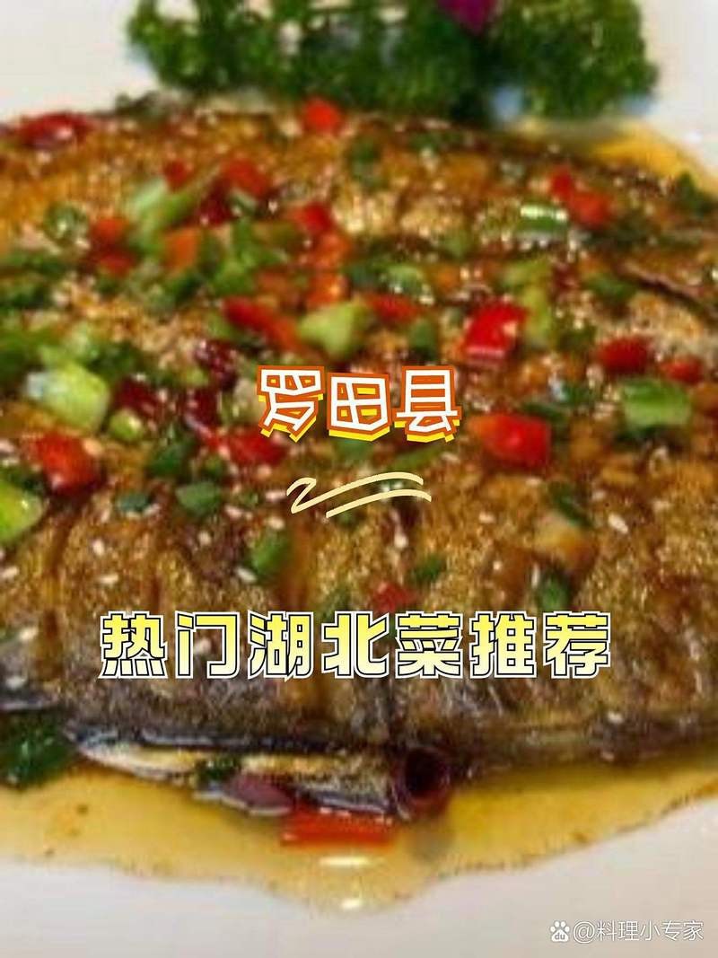 羅田龍魚店【羅田縣有專門的龍魚店嗎】