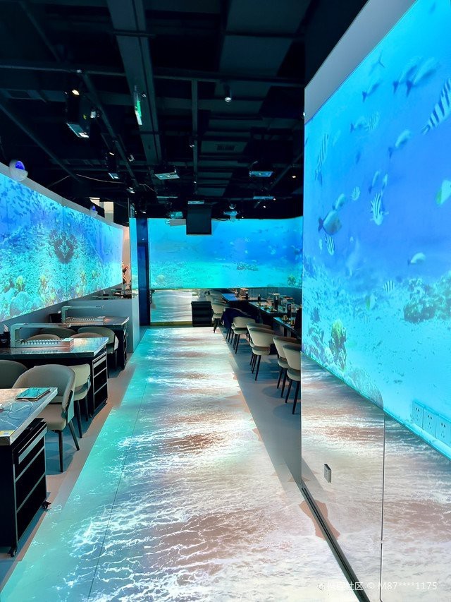 碑林水族店【西安市碑林區海光水族店怎么樣】