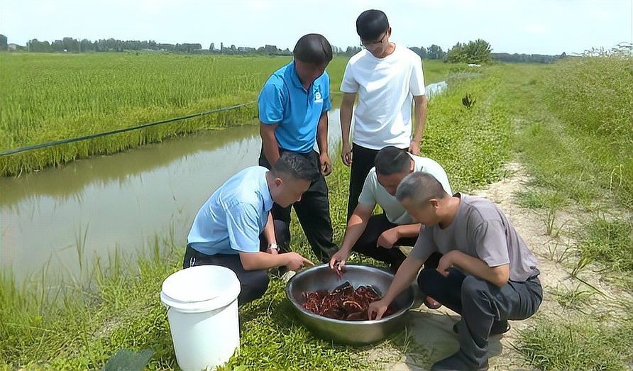 裕安龍魚店【六安裕安區(qū)有龍魚店嗎】 裕安龍魚店【六安裕安區(qū)有龍魚店嗎】 全國水族館企業(yè)名錄 第1張