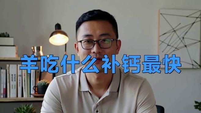哪些飼料含鈣量高【含鈣量高的食物有哪些】