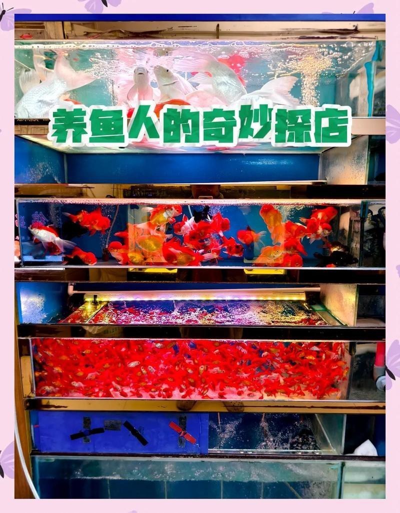 銀州區水族店【鐵嶺市銀州區水族店】
