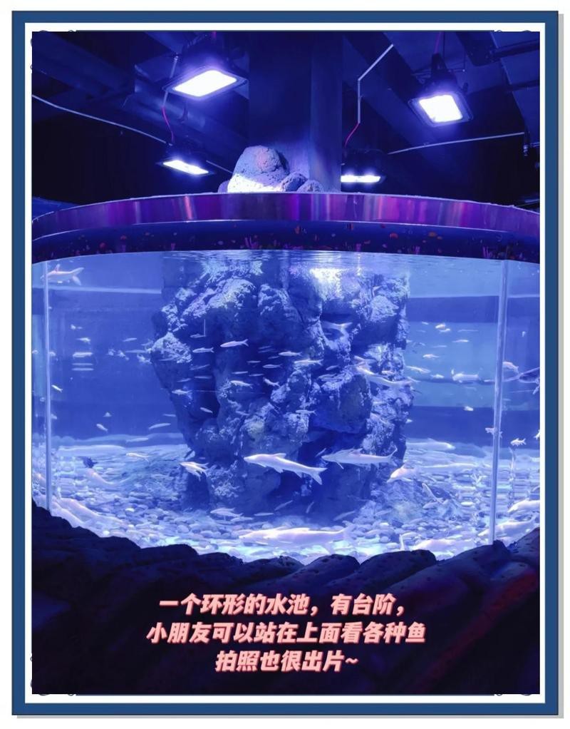 淮北水族店【淮北水族店淮北海洋世界】