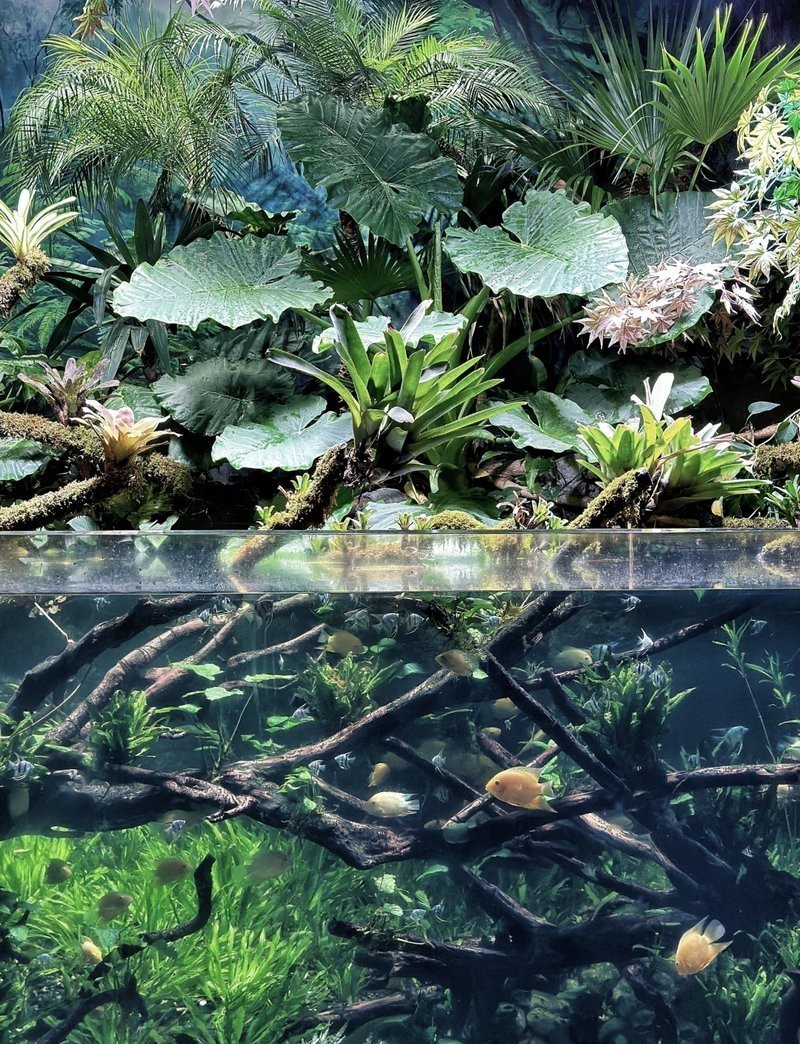 鄭州水族店【五一玩轉鄭州海洋館】