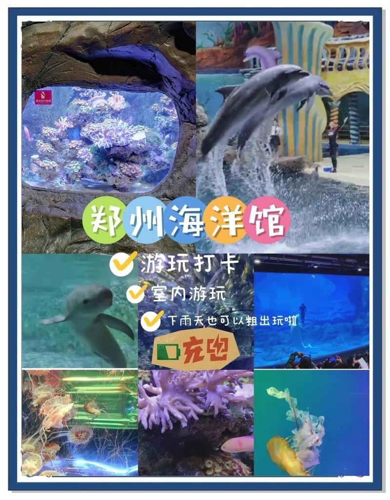 鄭州水族店【五一玩轉鄭州海洋館】