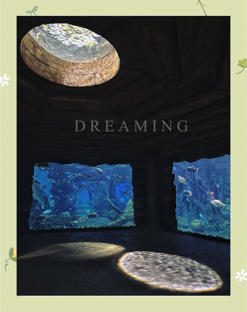 鄭州水族店【五一玩轉鄭州海洋館】