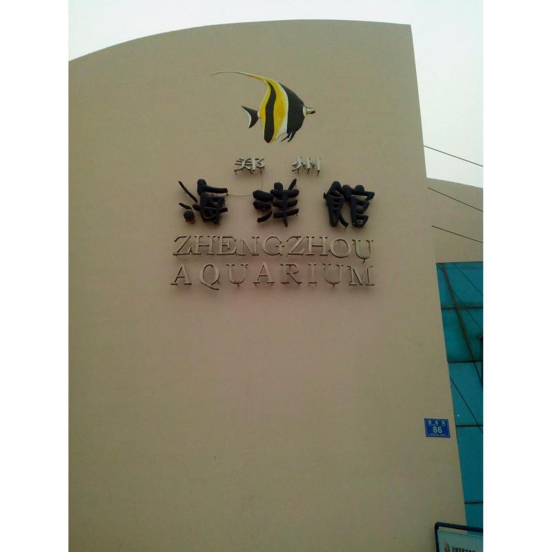 鄭州水族店【五一玩轉鄭州海洋館】