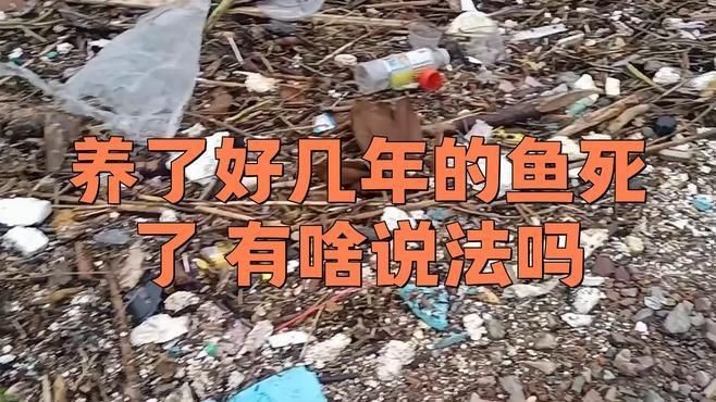 不同文化對魚死亡的看法有何不同？【不同文化對魚死亡的解讀存在顯著差異】