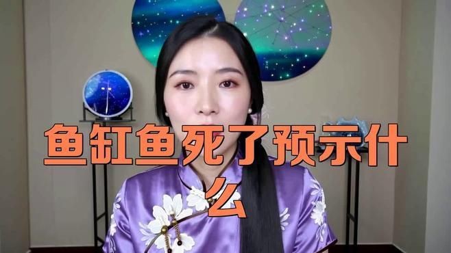 不同文化對魚死亡的看法有何不同？【不同文化對魚死亡的解讀存在顯著差異】