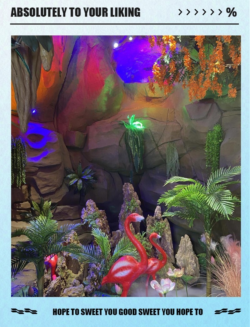 黃巖水族店【臺州黃巖城關宏發水族店有哪些特色產品周桂娥水族館】